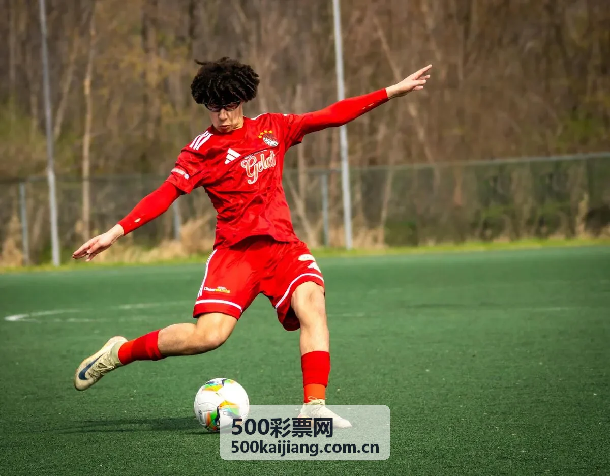 500彩票网双色球开奖查询与走势分析